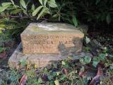 image of grave number 725482